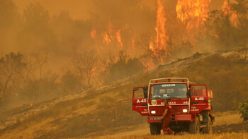 В Турции началось расследование причин возникновения лесных пожаров