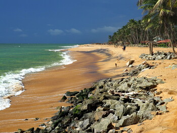 Шри-Ланка запустит для туристов из РФ акцию «Два билета по цене одного» 