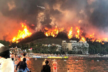 Власти Турции сообщают о взятии под контроль большинства лесных пожаров